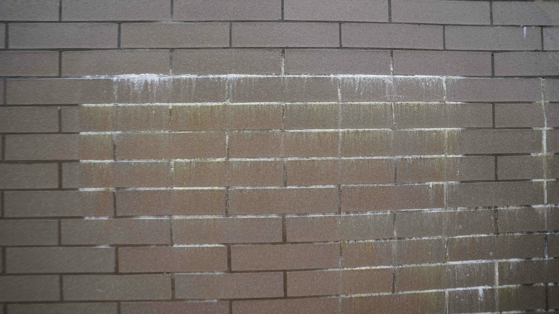 Efflorescence-Remover