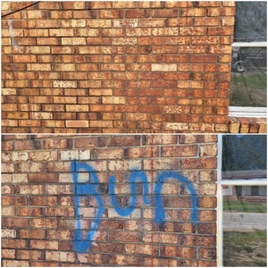 Southeast Softwash Graffiti Defeatii - Graffiti Remover