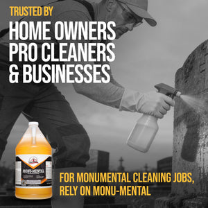 Southeast Softwash Monu-Mental | Gravestone Cleaner