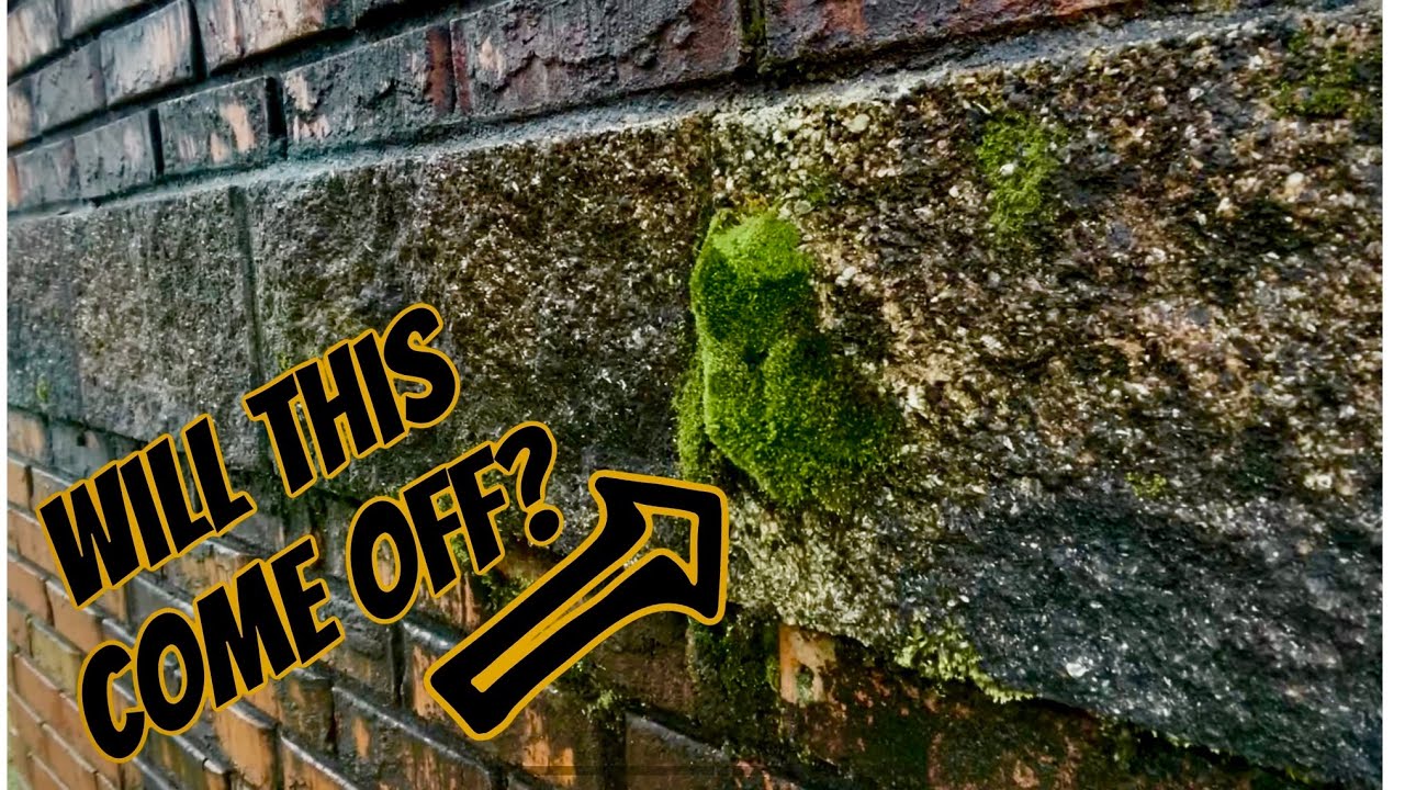 Can We Softwash This Brick Wall?