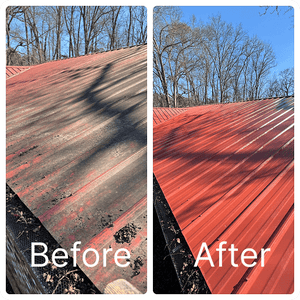 Southeast Softwash Citrus "Southern Drawl" Surfactant