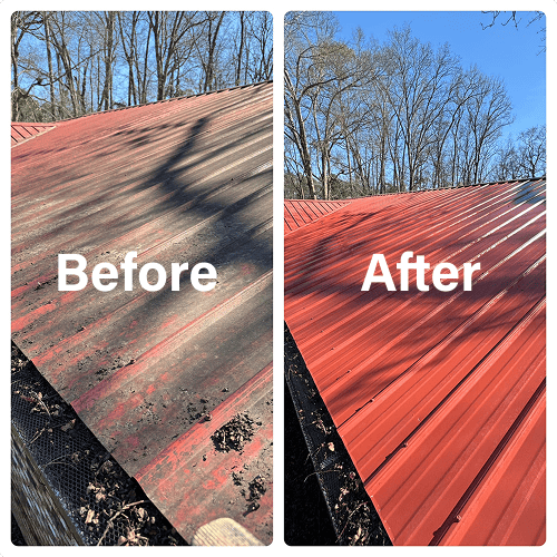 Southeast Softwash Citrus "Southern Drawl" Surfactant